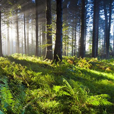 万博max体育官网