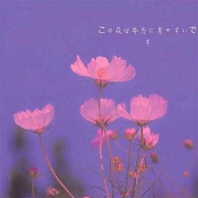 半岛·综合体育手机app下载