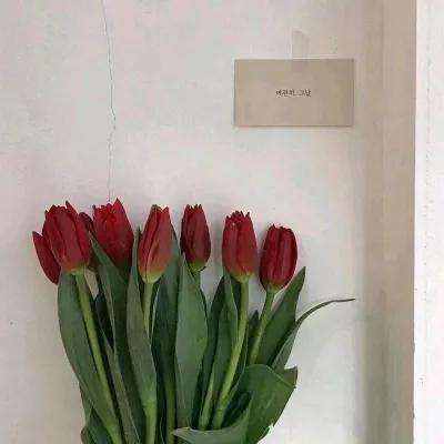 爱游戏·官方网站