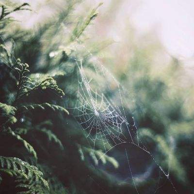 安博体育·(中国)官方网站app下载