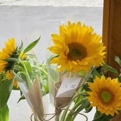 bet韦德官方网站